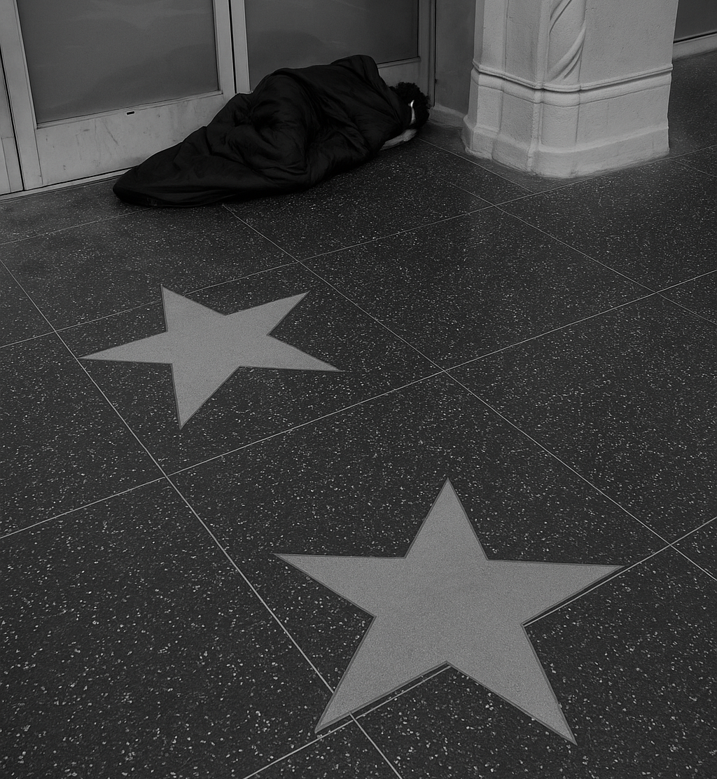 Person in sleeping bag on the Hollywood stars sidewalk